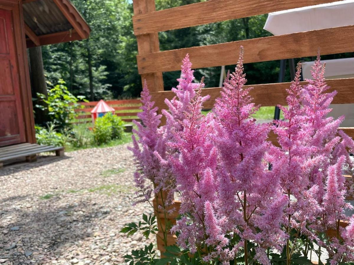 Domek Caloroczny Zagroda Mlynski Sułkowice Dış mekan fotoğraf